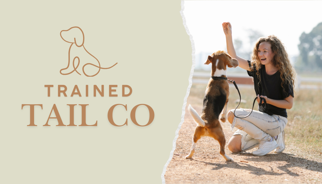 Custom Dog Training Business Card